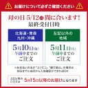 母の日 プレゼント ギフト 【月間優良ショップ受賞】 干物 【高評価】 干物セット 無添加 6種13枚 干物 高級 のどぐろ 入 【冷凍】 送料無料 干物セット 1位 魚 詰め合わせ 父の日 早割 《5/30正午まで150円OFF》 人気 50代 60代 70代 食べ物 3