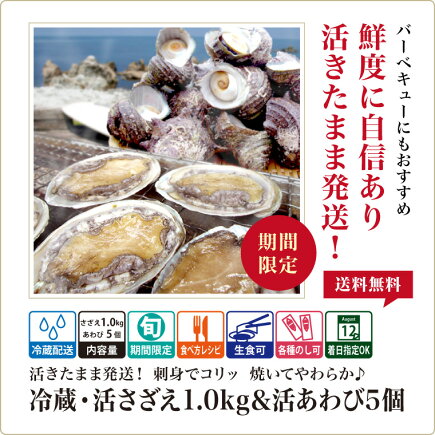 送料無料 さざえ あわび を活きたままお届け 贈り物 天然 サザエ 日本海産 活 刺身 栄螺 鮑 刺身 ステーキ 網焼き バーベキュー 高級 贈り物 プレゼント ギフト 贈答 活 サザエ 送料無料 1 0kg 約10 個 活 アワビ 5個 1個50 60g 養殖 セット 冷蔵 さざえ 送料無料 さざえ あわび を活きたままお届け 贈り物 天然 サザエ 日本海産 活 刺身 栄螺 鮑 刺身 ステーキ 網焼き バーベキュー 高級 贈り物 プレゼント ギフト 贈答 活 サザエ 送料無料 1 0kg 約10 個 活 アワビ 5個 1個50 60g 養殖 セット 冷蔵 さざえ