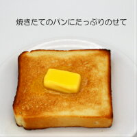 【12月19日出荷】バイオ・グラスフェッドバター無塩250g×2個【正規代理店・メーカーから直輸入】grassfedbutterフランス産発酵バター無塩食塩不使用バターコーヒーグラスフェッド