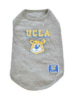 （ペアA犬用）DOG用　UCLA BRUINS TEE DOG用UCLA 公認 犬と ペアルック　クマさん柄　グレー