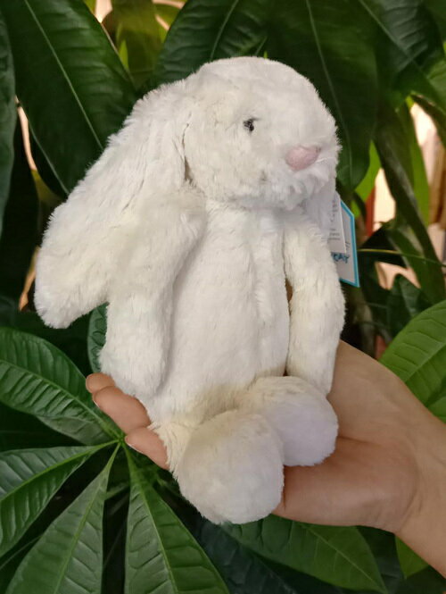 Jellycat BashfulCream Bunny Small ジェリーキャット バシュフル バニー クリーム Sサイズ 白色 正規輸入代理店 輸入品