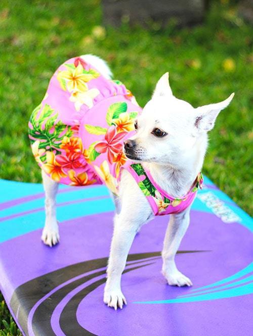 DOG Wear Robert J Clancey Aloha One Peaceロバート ジェイ クランシー 犬用 ワンピースドッグウェアー ムームー 犬のお洋服