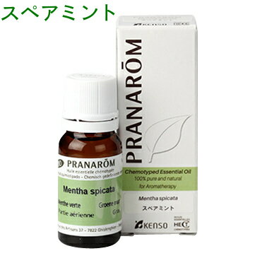 プラナロム スペアミント 10ml p-120 