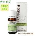 プラナロム ナツメグ 10ml ※安心の正規輸入 ※国内にて再農薬検査済 ※ケモタイプ精油成分分析表付 ※100%天然のアロマテラピー ケモタイプ 精油 エッセンシャルオイル オーガニック 無添加 アロマオイル PRANAROM 健草医学舎 送料無料 p-122
