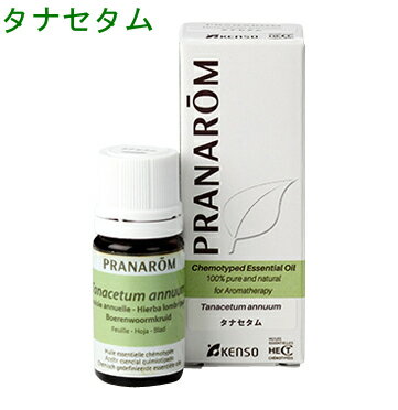 プラナロム タナセタム 5ml p-173 ※正