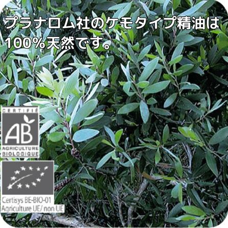プラナロム ニアウリシオネール 10ml ※安心の正規輸入 ※国内にて再農薬検査済 ※ケモタイプ精油成分分析表付 ※100％天然のアロマテラピー ケモタイプ 精油 エッセンシャルオイル オーガニック 無添加 アロマオイル PRANAROM 健草医学舎 送料無料 p-112 etoile-life-10023472 エトワールライフ サンプル画像2