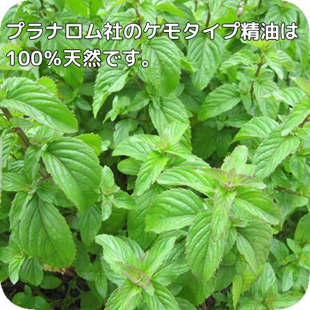 プラナロム (健草医学舎製) ベルガモットミント 10ml ※国内にて再農薬検査済 ※ケモタイプ精油成分分析表付 ※100％天然のアロマテラピー ケモタイプ 精油 エッセンシャルオイル オーガニック 無添加 アロマオイル PRANAROM 健草医学舎 送料無料 p-117 etoile-life-10023492 エトワールライフ サンプル画像2