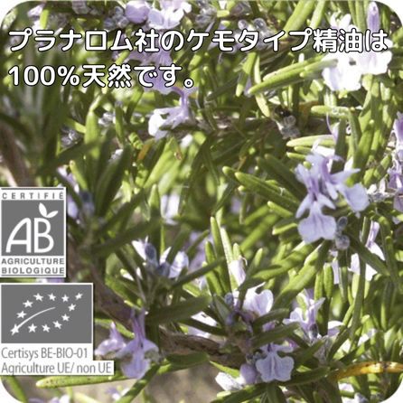 プラナロム ローズマリーカンファー 10ml ※安心の正規輸入 ※国内にて再農薬検査済 ※ケモタイプ精油成分分析表付 ※100％天然のアロマテラピー ケモタイプ 精油 エッセンシャルオイル オーガニック 無添加 アロマオイル PRANAROM 健草医学舎 送料無料 p-162 etoile-life-10023522 エトワールライフ サンプル画像2