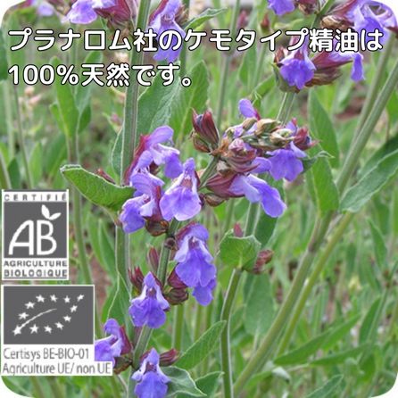 プラナロム セージ 10ml ※安心の正規輸入 ※国内にて再農薬検査済 ※ケモタイプ精油成分分析表付 ※100％天然のアロマテラピー ケモタイプ 精油 エッセンシャルオイル オーガニック 無添加 アロマオイル PRANAROM 健草医学舎 送料無料 p-164 etoile-life-10023456 エトワールライフ サンプル画像2