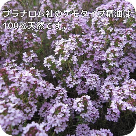 プラナロム タイムゲラニオール 10ml ※健草医学舎製 ※ケモタイプ精油成分分析表付 ※100％天然のアロマテラピー ケモタイプ 精油 エッセンシャルオイル オーガニック 無添加 アロマオイル PRANAROM 健草医学舎 送料無料 p-178 etoile-life-10023460 エトワールライフ サンプル画像2