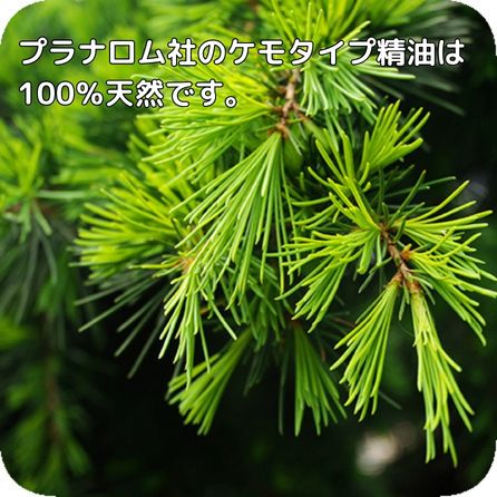 プラナロム ヒマラヤスギ 10ml ※安心の正規輸入 ※国内にて再農薬検査済 ※ケモタイプ精油成分分析表付 ※100％天然のアロマテラピー ケモタイプ 精油 エッセンシャルオイル オーガニック 無添加 アロマオイル PRANAROM 健草医学舎 送料無料 p-28 etoile-life-10023483 エトワールライフ サンプル画像2