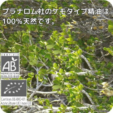 シナモスマ・フラグランス 10ml p-32 ※成分分析表付き ※農薬検査済み エッセンシャルオイル で安全・安心のアロマテラピー ケモタイプ 精油は癒し以外の効能も・・・天然の無添加オーガニック アロマオイル プラナロム ( PRANAROM ) ( 送料無料 ) 精油