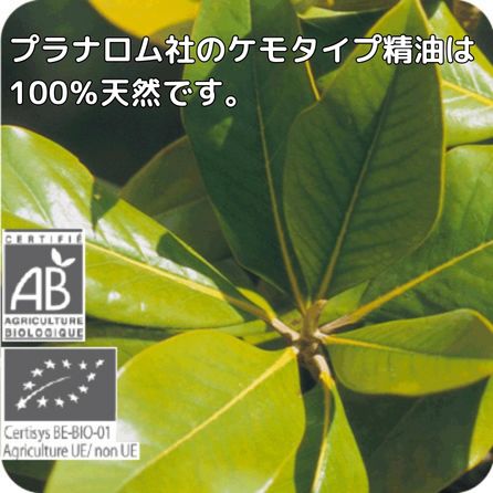 プラナロム プチグレン 10ml ※安心の正規輸入 ※国内にて再農薬検査済 ※ケモタイプ精油成分分析表付 ※100％天然のアロマテラピー ケモタイプ 精油 エッセンシャルオイル オーガニック 無添加 アロマオイル PRANAROM 健草医学舎 送料無料 p-38 etoile-life-10023485 エトワールライフ サンプル画像2