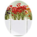 アザ ASA ポットフラワー [DECO] レッド カップ テーブル 花瓶 陶器 陶磁器 ドイツ