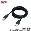 APC　AP98117J [Smart-UPS/Smart-UPS RM用 USBケーブル] その1