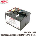 SCHNEIDER APC シュナイダー APC Smart-UPS 1500 RM 2U LCD 100Vオンサイト3年保証付きモデル (SMT1500RMJ2UOS3)