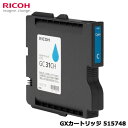 RICOH@GXJ[gbWVA GC31CH [515748]