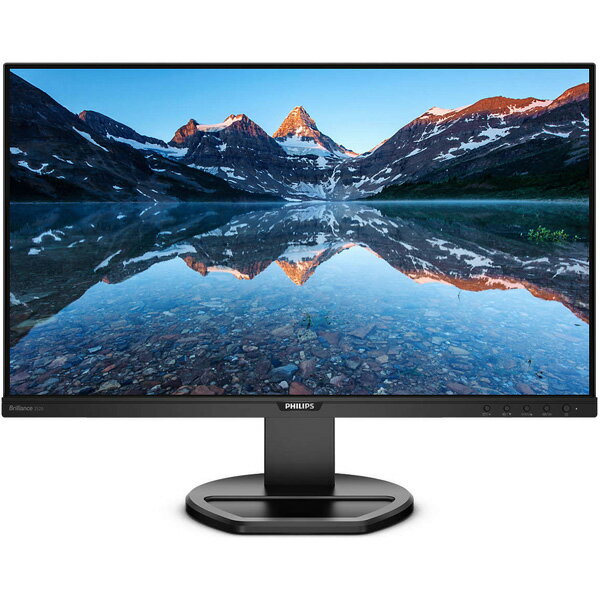 252B9/11 [25型液晶ディスプレイ/1920×1200 WUXGA/DVI、HDMI、D-Sub、DisplayPort/スピーカー：あり]のサムネイル