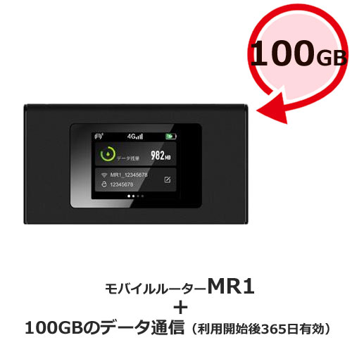 MAYA SYSTEM MS4GRA01100 [jetfi MR1 年間通信プラン付き100GB]