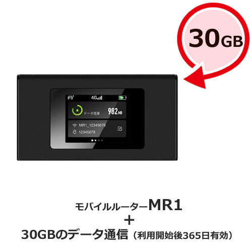 MAYA SYSTEM MS4GRA0130 [jetfi MR1 年間通信プラン付き30GB]