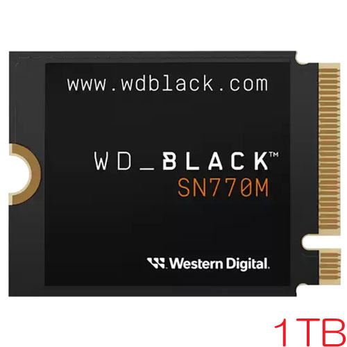 ウエスタンデジタル WDS100T3X0G 
