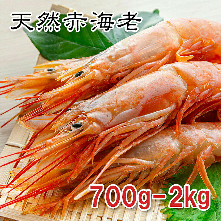 天然 赤海老 700g 2kg 1kg 刺身 冷凍 塩焼き 海鮮丼 ガーリックシュリンプ 天然 特大 刺身用 バラ凍結 天然赤海老 700g/2kg えび 生食OK 赤エビ 生海老 【海鮮・贈答用・BBQ】◇