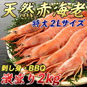 【楽天スーパーSALE特価】【大型天然赤海老 2kg】濃厚なお味【生食 刺身 焼き物 煮物 鍋 イタリアン パエリア BBQ】【バーベキュー必須アイテム】【冷凍】【お歳暮】