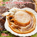 ホタテ 殻付き 10枚入 BBQの必需品 帆立グラタンは絶品 冷凍 だから好きなときに好きなだけお使いいただけます 冷凍