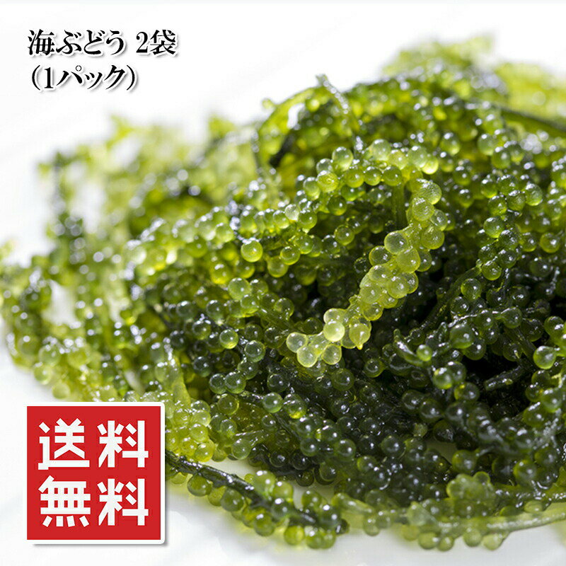 名称（内容量） 海ぶどう 40g (20g×2袋) 賞味期限 冷凍：30日 （冷凍発送します） 保存方法 冷凍保存してください 原材料 海ぶどう（クビレヅタ）、食塩 最終加工地 ベトナム 販売者 株式会社えつすい 福井県敦賀市砂流43-6-3