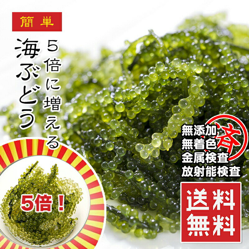 名称（内容量） 海ぶどう 360g (20g×18袋) 賞味期限 常温で1年間 保存方法 常温保存 原材料 海ぶどう（クビレヅタ）、食塩 最終加工地 ベトナム 販売者 株式会社えつすい 福井県敦賀市砂流43-6-3（配送センター） ＜当店の売れ筋商品ラインナップ＞気になるものがあれば、検索窓に入れてみてください！同梱大歓迎！1,000を超える商品のどの組み合わせでも5商品以上購入で送料無料（一部地域は千円引）※ただし、1円商品と馬刺しのタレは1商品カウントされません☆&nbsp;馬刺し各種部位も多数有り☆&nbsp;伊勢海老オマール・赤海老なども有り☆&nbsp;国産うなぎ一色うなぎ・薩摩うなぎなども有り☆&nbsp;ローストビーフポーク・チキン・ターキーも有り☆&nbsp;揚げ物エビフライ・カキフライ・コロッケ・各種串カツなども有り☆&nbsp;カット野菜国産ゴーヤ・モロヘイヤ・アボカドダイスが人気！☆&nbsp;手羽先餃子☆&nbsp;牛タンタン先・スライス・仔牛のタンも有り☆&nbsp;お肉やステーキ格安の牛バラ・豚バラから松阪牛・飛騨牛のA4・A5ランクまで有り牛肉・豚肉・鶏肉・ミックスホルモン各種も有り☆&nbsp;あん肝（あんこうの肝）☆&nbsp;魚介ホタテ・サザエ・甘海老・北海道産いくら・あわびなど有りホッキ貝・つぶ貝・赤貝も売れ筋！☆&nbsp;おかず系ロールキャベツ・ハンバーグ・オニオンリングなども有り☆&nbsp;干物ハタハタ・コマイが人気！☆&nbsp;乾物乾燥わかめ・海苔・昆布が有り☆&nbsp;買い回りに便利なメール便商品メンマ・ザーサイ・甘納豆・ミックスナッツ・山菜ミックス、1000円ポッキリ商品なども有り☆&nbsp;お肉ベーコン・Tボーン・牛バラ・リブロース・ウインナー・ハムなども有り☆&nbsp;お魚鯖・スモークサーモン・のどぐろ・ししゃもなども有り☆&nbsp;パーティー系ピザ・チーズ・生ハム・ワニ肉・丸鶏チキンなども有り角煮・チャーシュー・鶏のたたきが売れ筋！☆ ご当地グルメ焼き鯖寿司・なまこ酢・らふてぇ・ほうば味噌・朴葉・海ぶどうなどが人気！その他にも多数取り扱いがありますので、是非ともお買い回りください。メルマガにご登録されますと、割引情報やクーポン発行、プレゼント商品などのお得な情報を不定期的に配信しております。ぜひともご利用ください！&nbsp;メルマガ登録はこちらプチプチ食感がとっても美味しい!真水で戻すだけですぐに食べられます。 ベトナムの綺麗な海で自然栽培されました。塩分濃度が高めで年間を通して水温が安定しており、栄養分が豊富な海水は海ぶどうの生育には最高のロケーションです。また強い直射日光や栄養分を程よく含んだ土壌など全てにおいて海ぶどうを育てるのに最適なんです。 1袋(20g)の海ぶどうを大きめのボールに入れ、1lの飲料水を注いで塩抜きをしてください。塩味がきついと感じられる方は、水を一度替えると良いかと思います。 約3分ほどで5倍(体積)の量のプチプチとしたハリのある海ぶどうに戻ります。 戻した後は水切りをし、青じそドレッシング等へつけ、ツケダレの要領でできるだけお早めにお召し上がりください。