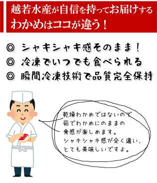 国産 三陸産 カット 生わかめ 500g 冷凍 味噌汁 ミネラル養分 業務用 お徳用