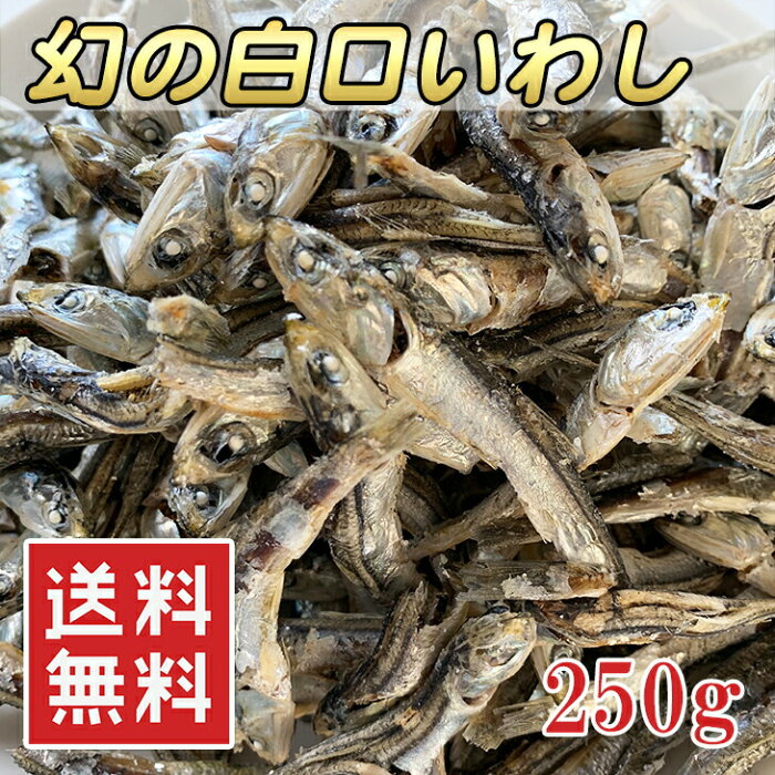 (全品5%還元) 【アウトレット価格】出汁用 白口イワシ 250g いりこだし 煮干し 雑魚