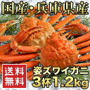 送料無料【国産 浜茹で香住がに(紅ズワイガニ) 3杯 1.2...