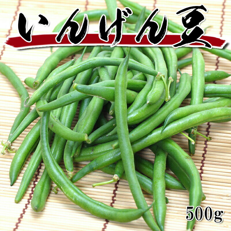 [ɤǤ5ʤ̵] 󥲥 󤲤Ʀ 500g 󤲤 󥲥ޥ å  ̳  Τޤ޿٤