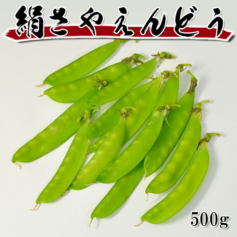 [どれでも5品で送料無料] きぬさや 500g カット野菜 冷凍 大容量 業務用サイズ