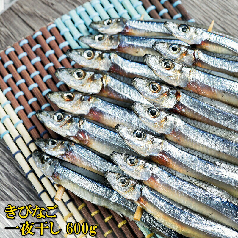 [どれでも5品で送料無料] 魚屋がガチで作った きびなご串干し 1串 冷凍-