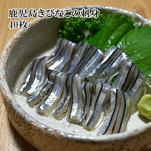 魚屋がガチで作った 国産 生食用 きびなごの刺身 100g 40匹入 冷凍【どれでも5商品購入で送料無料 (一部地域除く)】