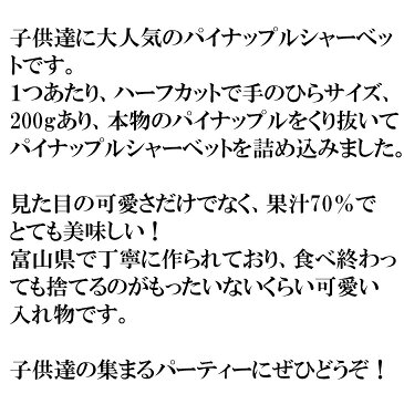 国産 皮付きパインシャーベット ハーフカット 5個 1kg 冷凍