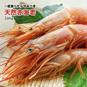 [どれでも5品で送料無料] 赤海老 えび 大型 天然 500g 【楽天ランキング1位】 生食用 刺身 ガーリックシュリンプ 海老パスタ 酒蒸し 海老マヨ アボカド和え トムヤムクン パエリア・お味噌汁 バターソテー BBQ 手巻き寿司 送料無料 冷凍★