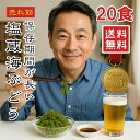 【楽天1位】海ぶどう 10パック 20食入 5倍に膨らむ大容量 常温保存 選べるサイズ ご当地グルメ 塩漬け特許技術 増える 賞味期限長い 海藻 無添加 無着色 お取り寄せ 贈り物 おつまみ ギフト 海ブドウ 海ぶどう 売れ筋 大容量 5000円ポッキリ メール便 送料無料【動画あり】★