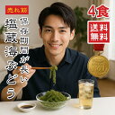 【楽天1位】海ぶどう 2パック 4食入 5倍に膨らむ大容量 常温保存 選べるサイズ ご当地グルメ 塩漬け特許技術 増える 賞味期限長い 海藻 無添加 無着色 お...