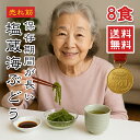 【楽天1位】海ぶどう 4パック 8食入 5倍に膨らむ大容量 常温保存 選べるサイズ ご当地グルメ 塩漬け特許技術 増える 賞味期限長い 海藻 海ぶどう 無添加 無着色 お取り寄せ 贈り物 おつまみ ギフト 島らっきょう 海ブドウ 売れ筋 大容量 メール便送料無料【動画あり】