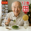 【楽天1位】 海ぶどう 6パック 12食入 5倍に膨らむ大容量 常温保存 選べるサイズ ご当地グルメ 塩漬け特許技術 増える 賞味期限長い 海藻 無添加 無着色 お取り寄せ 贈り物 おつまみ ギフト 海ぶどう 海ブドウ 売れ筋 大容量 3400円 ポッキリ メール便 送料無料【動画あり】