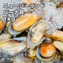 　 名称（内容量） ムール貝 500g 賞味期限 商品に記載 製造日より6ヶ月 保存方法 冷凍保存してください 原材料 ムール貝（広島県産） 最終加工地 国内 販売者 株式会社えつすい 福井県敦賀市砂流43-6-3（配送センター） ＜当店の売れ筋商品ラインナップ＞気になるものがあれば、検索窓に入れてみてください！同梱大歓迎！1,000を超える商品のどの組み合わせでも5商品以上購入で送料無料（一部地域は千円引）※ただし、1円商品と馬刺しのタレは1商品カウントされません☆&nbsp;馬刺し各種部位も多数有り☆&nbsp;伊勢海老オマール・赤海老なども有り☆&nbsp;国産うなぎ一色うなぎ・薩摩うなぎなども有り☆&nbsp;ローストビーフポーク・チキン・ターキーも有り☆&nbsp;揚げ物エビフライ・カキフライ・コロッケ・各種串カツなども有り☆&nbsp;カット野菜国産ゴーヤ・モロヘイヤ・アボカドダイスが人気！☆&nbsp;手羽先餃子☆&nbsp;牛タンタン先・スライス・仔牛のタンも有り☆&nbsp;お肉やステーキ格安の牛バラ・豚バラから松阪牛・飛騨牛のA4・A5ランクまで有り牛肉・豚肉・鶏肉・ミックスホルモン各種も有り☆&nbsp;あん肝（あんこうの肝）☆&nbsp;魚介ホタテ・サザエ・甘海老・北海道産いくら・あわびなど有りホッキ貝・つぶ貝・赤貝も売れ筋！☆&nbsp;おかず系ロールキャベツ・ハンバーグ・オニオンリングなども有り☆&nbsp;干物ハタハタ・コマイが人気！☆&nbsp;乾物乾燥わかめ・海苔・昆布が有り☆&nbsp;買い回りに便利なメール便商品メンマ・ザーサイ・甘納豆・ミックスナッツ・山菜ミックス、1000円ポッキリ商品なども有り☆&nbsp;お肉ベーコン・Tボーン・牛バラ・リブロース・ウインナー・ハムなども有り☆&nbsp;お魚鯖・スモークサーモン・のどぐろ・ししゃもなども有り☆&nbsp;パーティー系ピザ・チーズ・生ハム・ワニ肉・丸鶏チキンなども有り角煮・チャーシュー・鶏のたたきが売れ筋！☆ ご当地グルメ焼き鯖寿司・なまこ酢・らふてぇ・ほうば味噌・朴葉・海ぶどうなどが人気！その他にも多数取り扱いがありますので、是非ともお買い回りください。メルマガにご登録されますと、割引情報やクーポン発行、プレゼント商品などのお得な情報を不定期的に配信しております。ぜひともご利用ください！&nbsp;メルマガ登録はこちら関連商品[どれでも5品で送料無料] ムール貝 生 生食用 剥きムール貝 500...[どれでも5品で送料無料] 本ズワイガニ棒肉 300g【楽天ランキング...1,299円2,299円ニュージーランド産のパーナ貝1kgです。 化粧箱に入っているのでお料理好きの方 への贈答用にもいいですね。 地中海料理やイタリア料理にも幅広くお使 いいただけます。 片貝なのですぐにそのままお使いいただけ 便利な商品です。 ムール貝と全く同じようにお使いいただける ので、パスタ、パエリア、カルパッチョ、チャ ウダー、スープ、カレー、他いろいろとお使 いいただけます。 数量限定商品です！