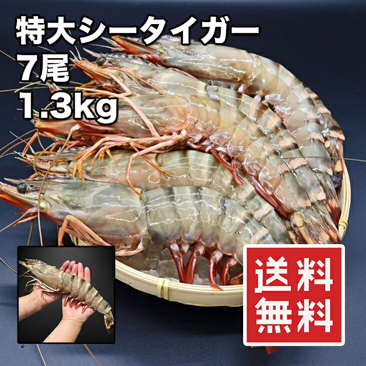 [どれでも5品で送料無料] 特大 シータイガー 30cm 7尾【動画あり】1.3kg ジャンボサイズ ドデカ バーベキューに グリル焼きに エビフライに 何をしても超特大の超最高です！ えび 海老 冷凍 送料無料★