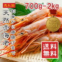 【楽天1位】天然赤海老 700g/2kg 刺身用 生食OK 大型サイズ 冷凍 赤エビ 生海老 生えび ガーリックシュリンプ パスタ BBQ 寿司ネタ あす楽対応【動画あり】送料無料★
