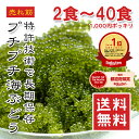 【楽天1位】海ぶどう 2食~40食 常温保存 選べるサイズ 食べ切りパック ご当地グルメ 1000円ポッキリ 塩漬け特許技術 増える 賞味期限長い 海藻 無添加 無着色 お取り寄せ 贈り物 おつまみ ギフト 島らっきょう 海ブドウ 売れ筋 大容量 メール便送料無料 大容量【動画あり】