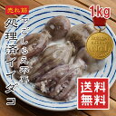【極み冷凍】下処理済 イイダコ 1kg 2kg【楽天1位】唐揚げ 煮物 たこ焼き お好み焼き チヂミ チュクミ バラ凍結 業務用 ギフト 送料無料 【動画あり】冷凍★