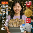 【2セット目 半額】牡蠣 カンカン焼き【楽天1位】セット 殻付き 大粒 20個入 BBQ 海鮮 バーベキュー ギフト 父の日 一斗缶 半斗缶 ガンガン焼き 送料...