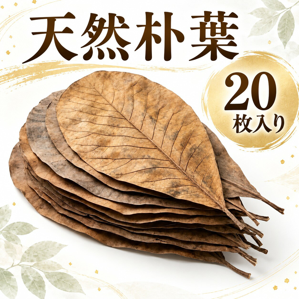 【楽天1位】 朴葉 大判20枚セット 20枚 業務用 送料無料 枯れ朴葉付き ほうば焼き・焼き味噌・ ...